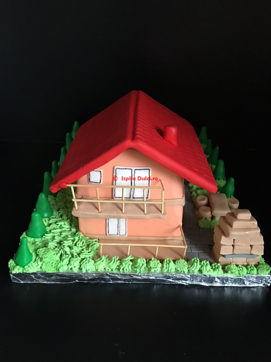 Tort casa pentru Alina