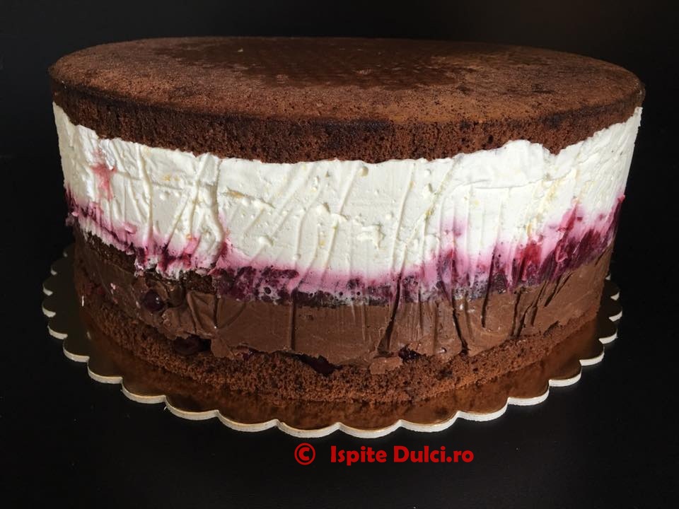 Tort in ciocolata cu fructe