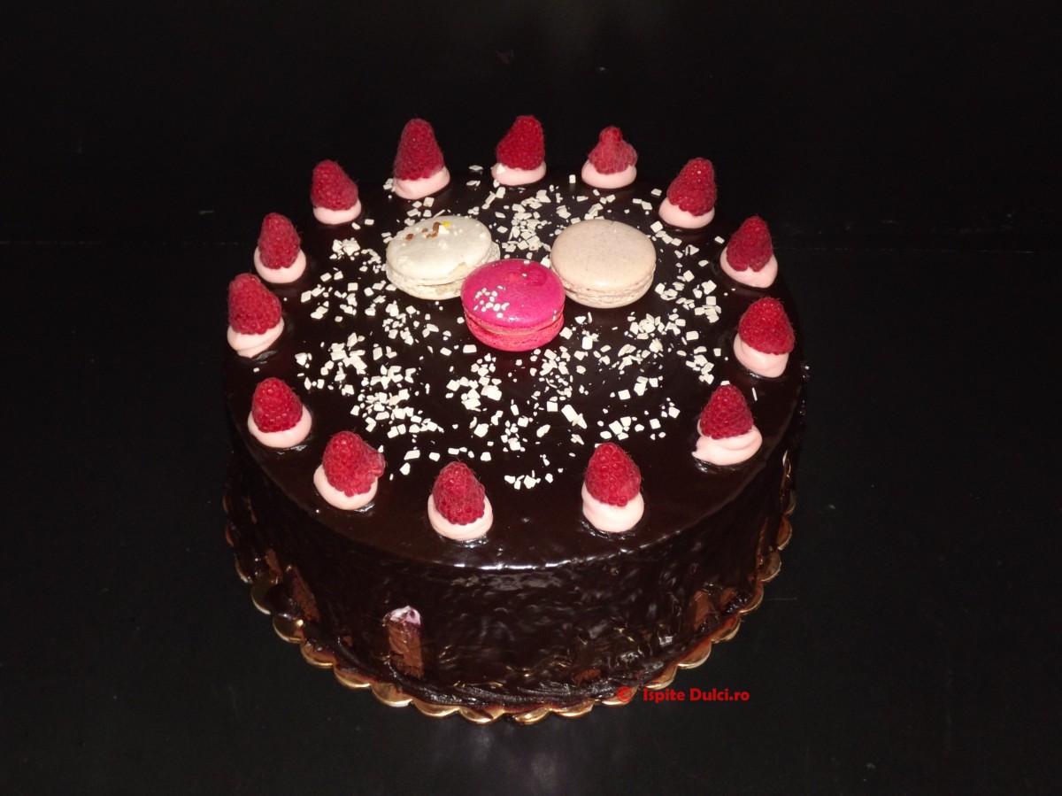 Tort in ciocolata cu fructe