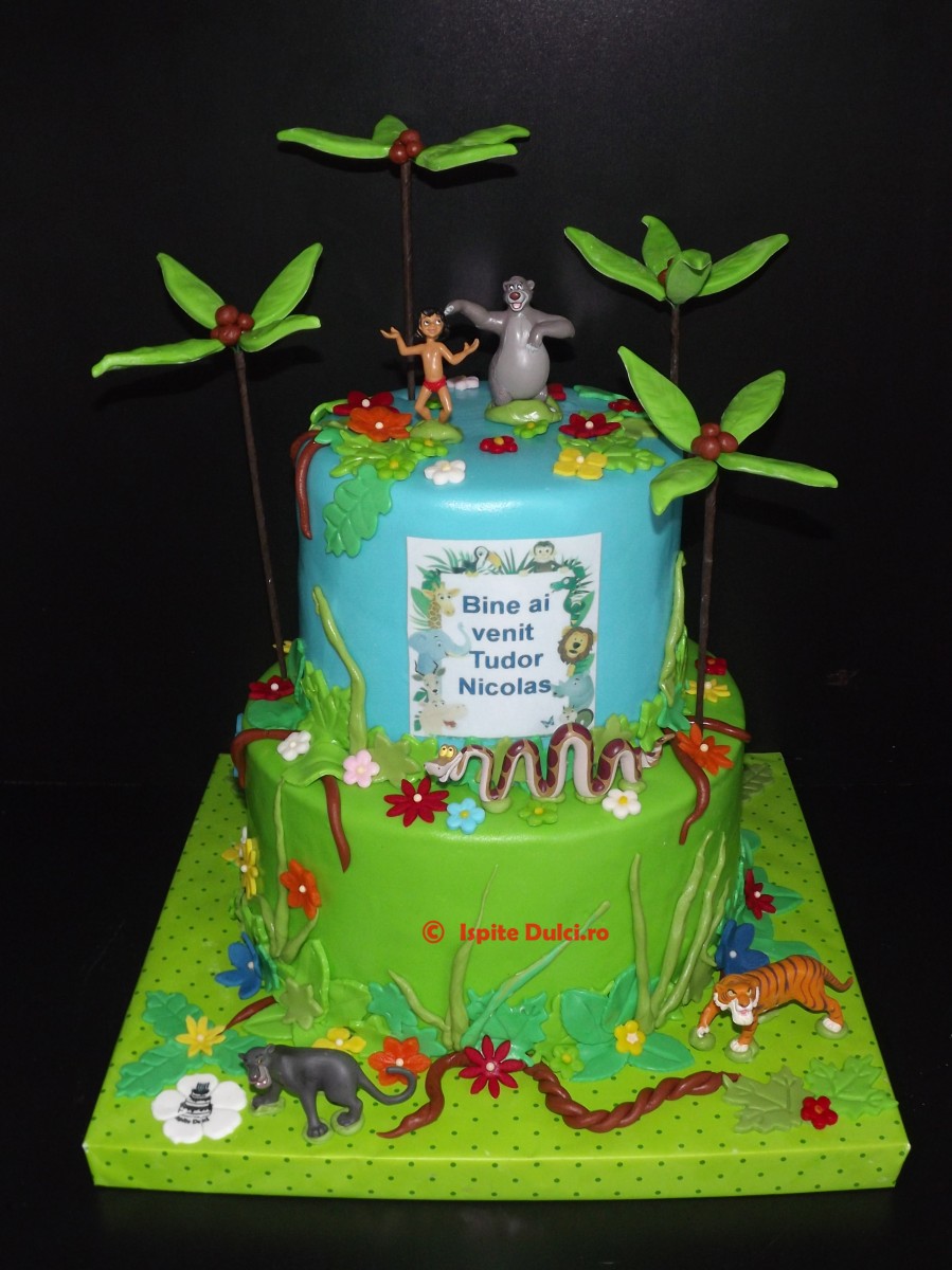 Tort de botez pentru Tudor Nicolas