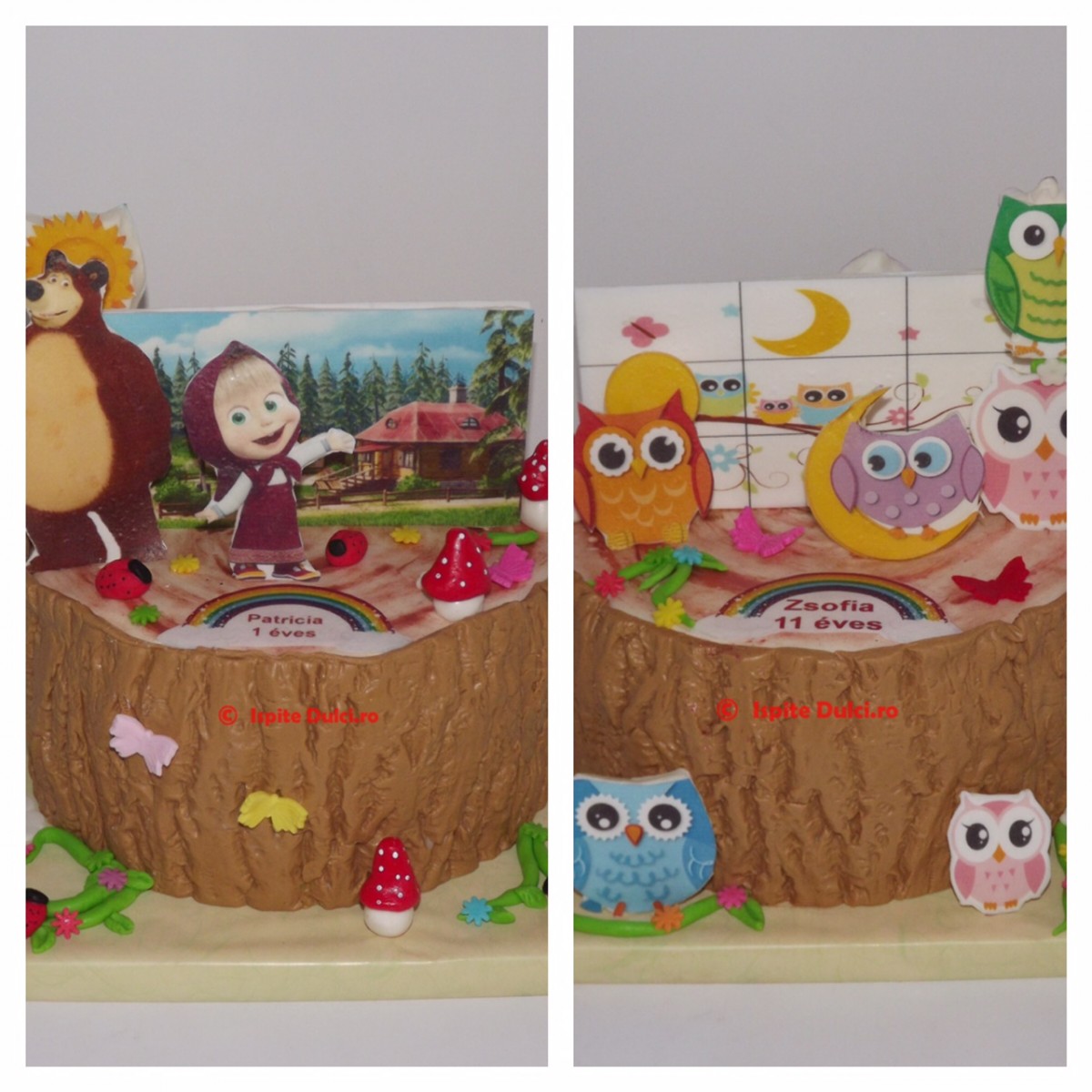 Tort 2 in 1 – Masha si ursul si bufnite