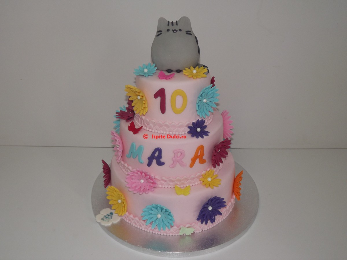 Tort pentru Mara cu pisicuta Pusheen